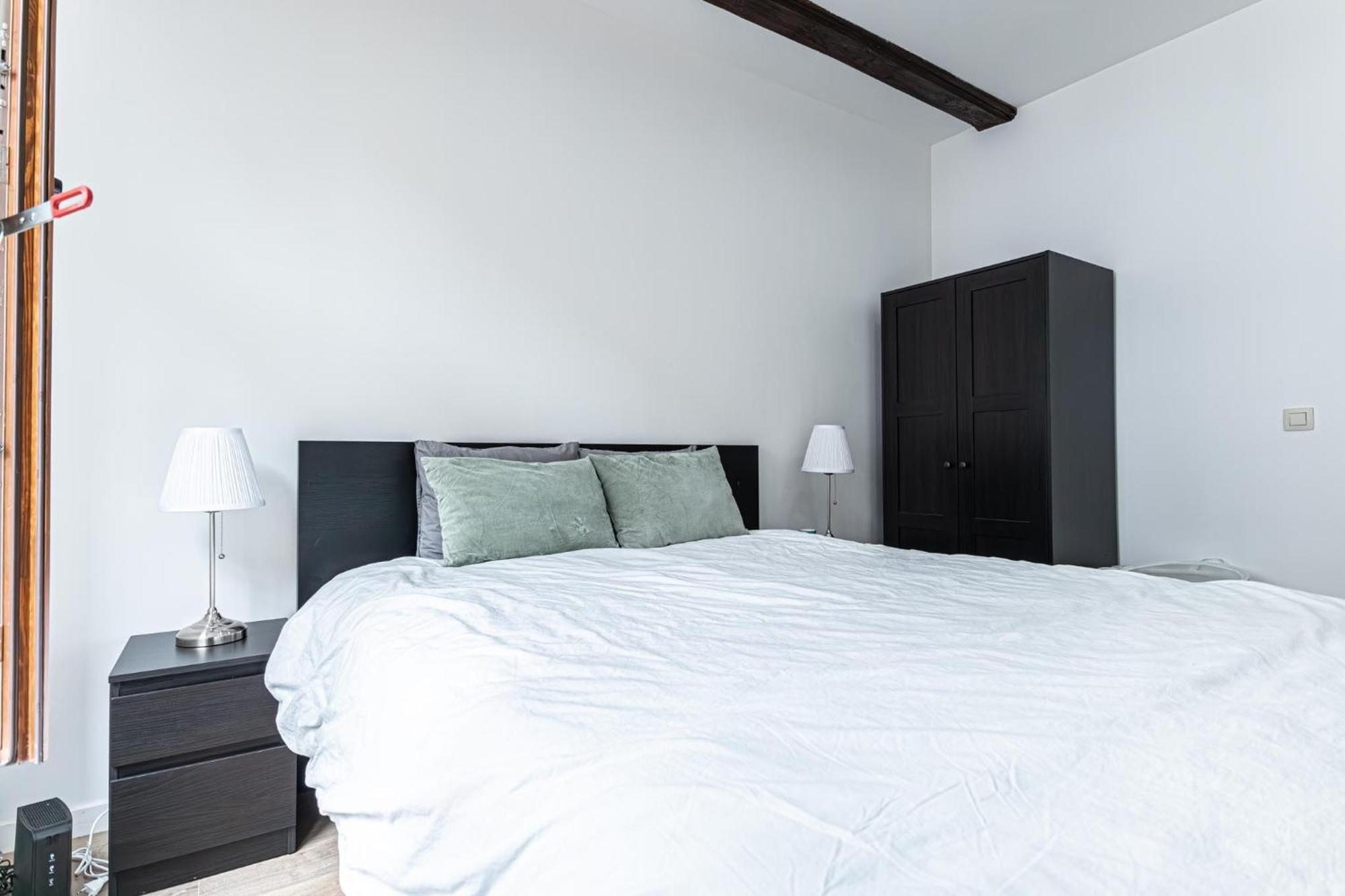 Elegant 3br & 1lr Waterfront Retreat In * Gent